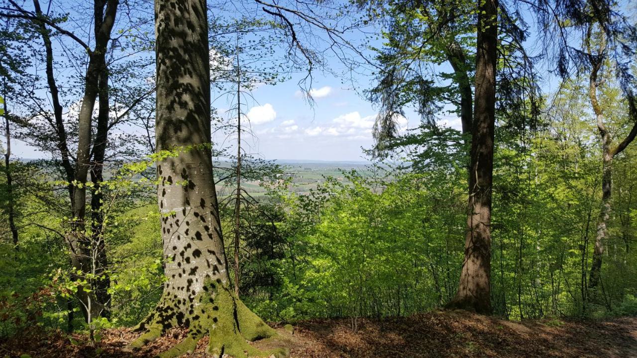 Schillerstueble Appartement Bodelshausen Buitenkant foto